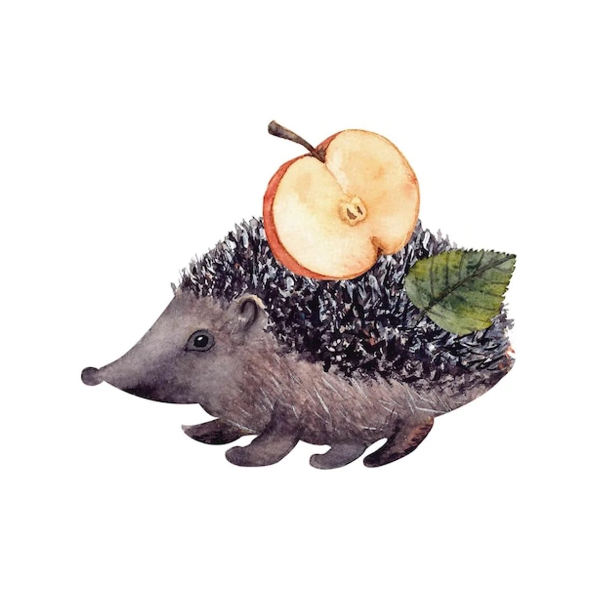 hedgehog autumn leaves czech nature