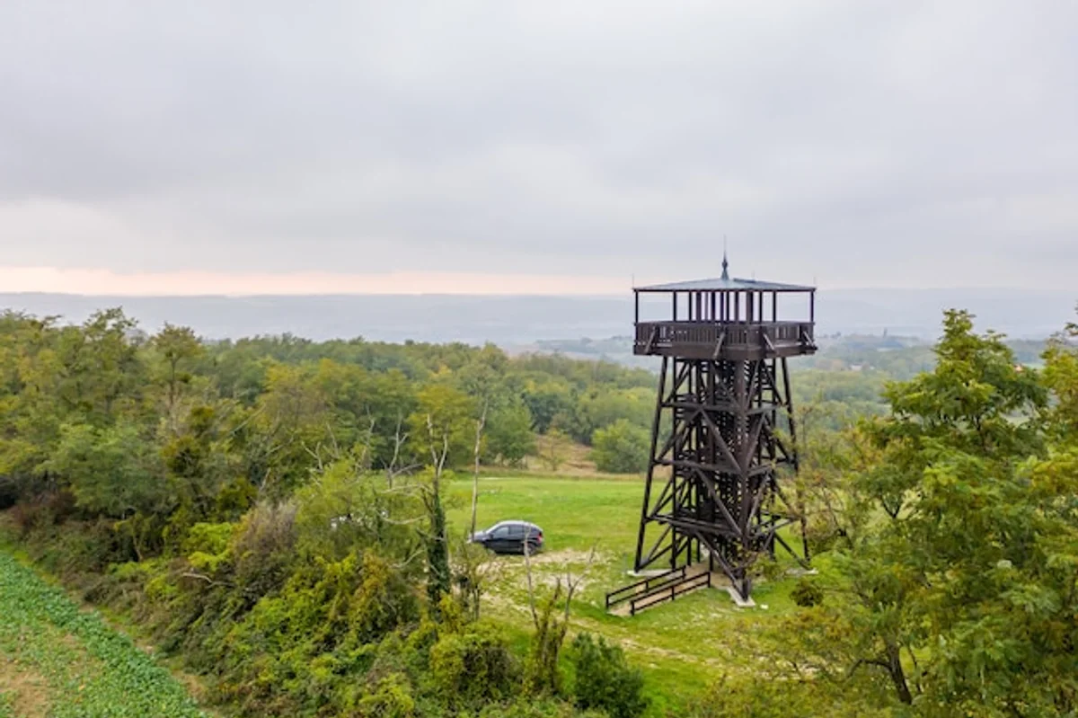 bird migration autumn czech landscape