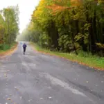 Czech autumn marathon runner training outdoor