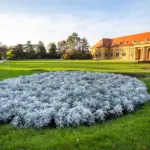 archaeological excavation Moravia autumn