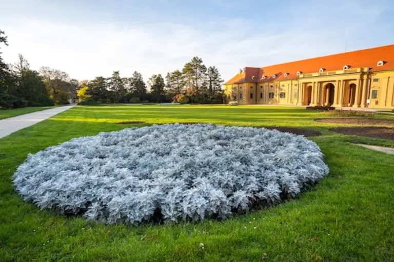 archaeological excavation Moravia autumn