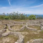 celtic archaeological excavation europe