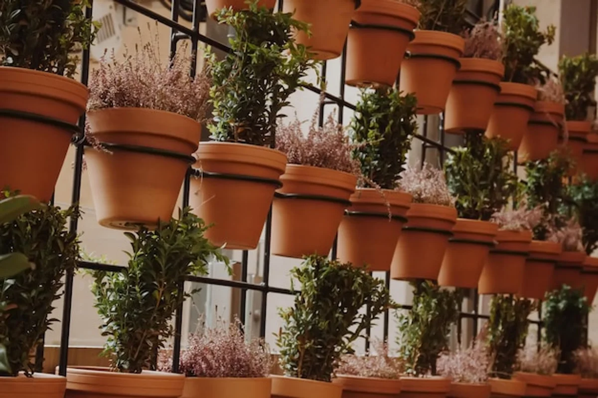 urban herb garden windowsill Czech apartment