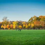 rare wildlife autumn Czech park