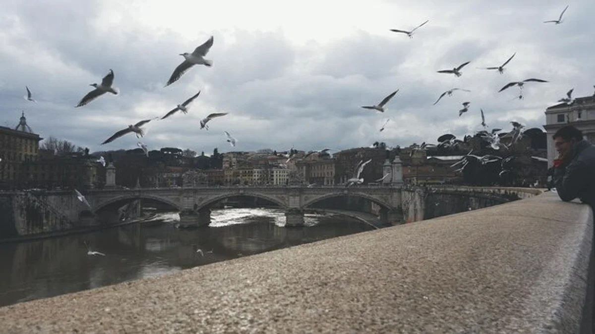 wildlife migration fall Czech park