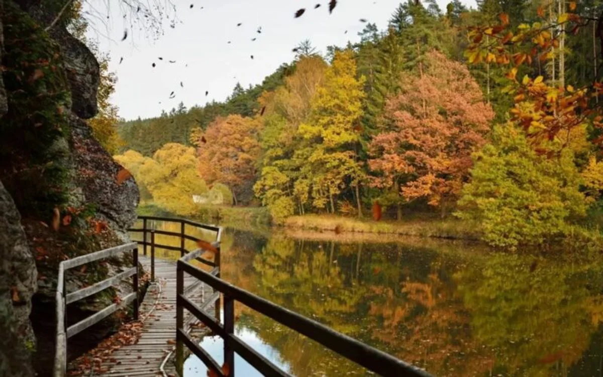 autumn mental health tips Czech Republic nature walk