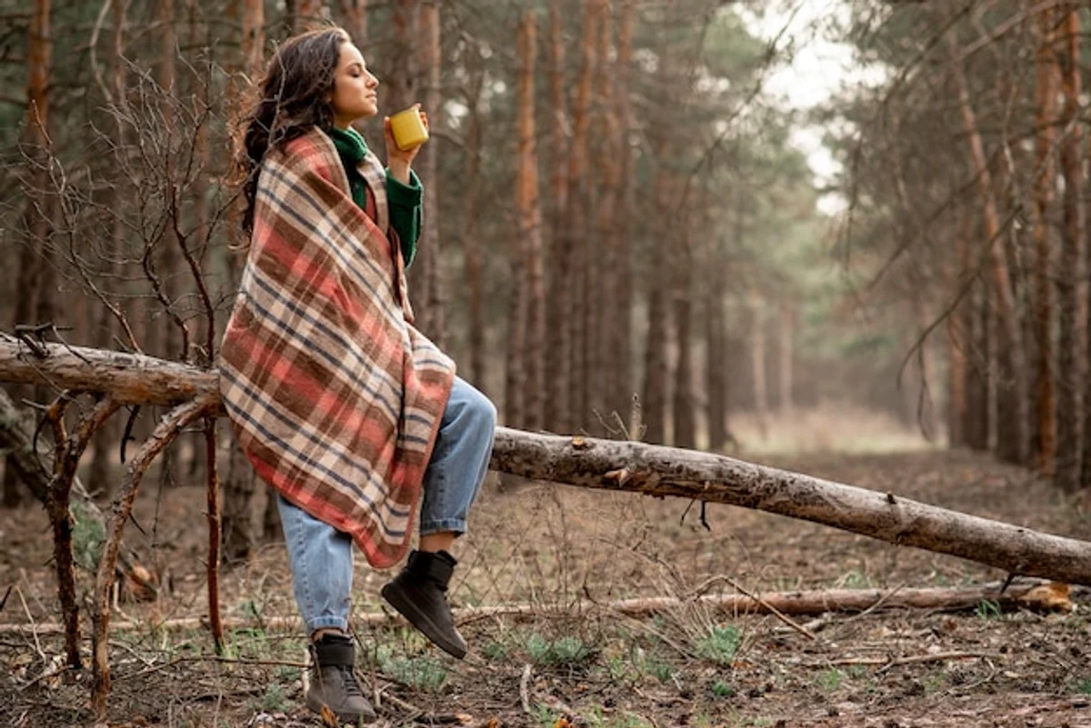 czech mushroom hunter autumn morning forest