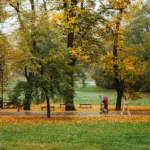 czech autumn cultural festival crowd