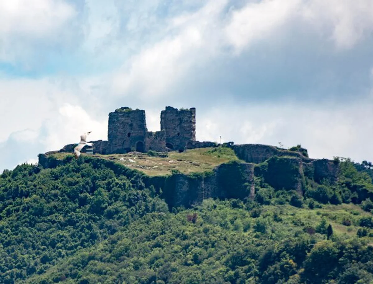 czech vineyard harvest festival tradition