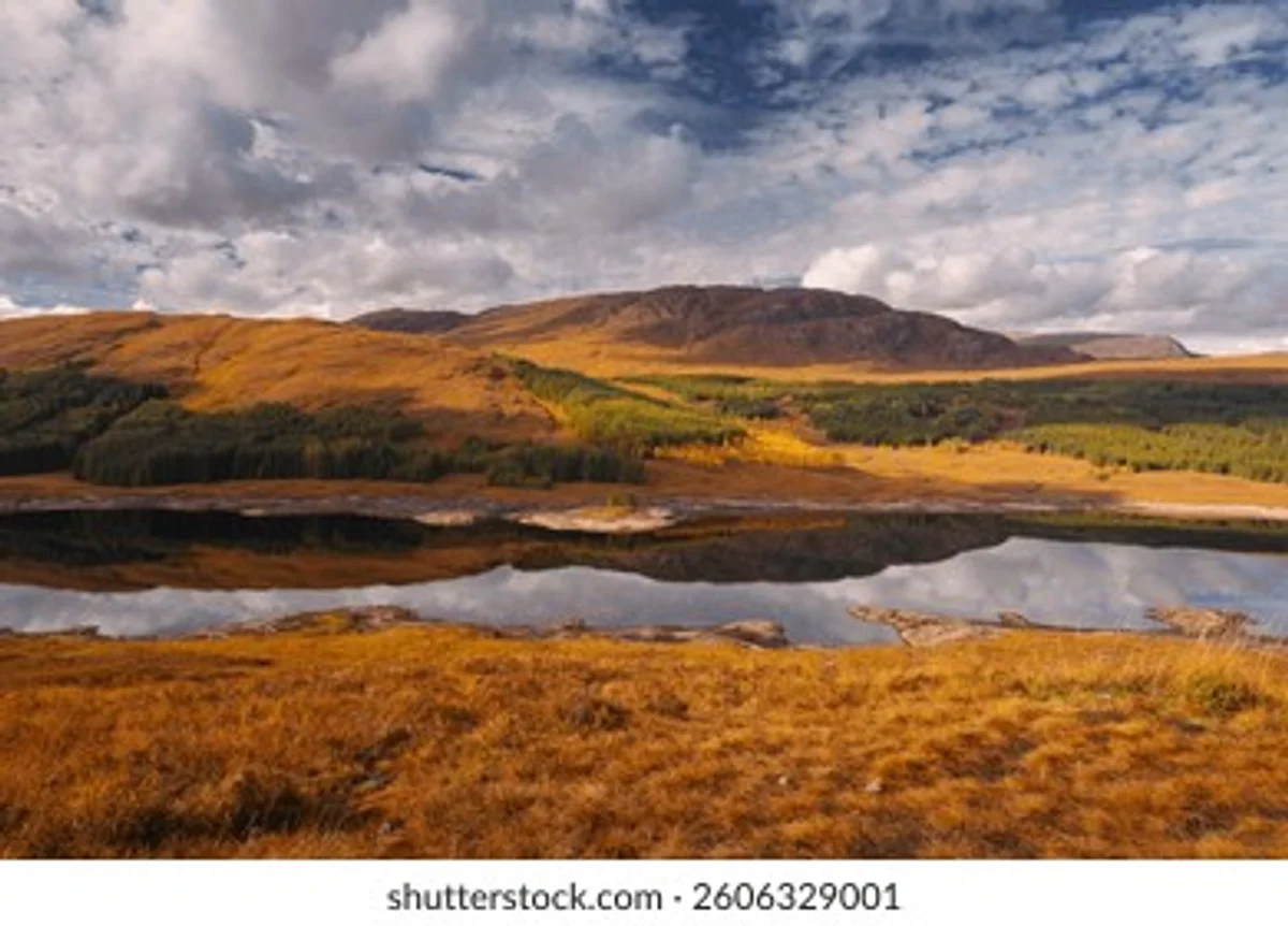 Scottish Highlands autumn golden heather