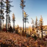 autumn mountain trail hiking cold fog czech republic
