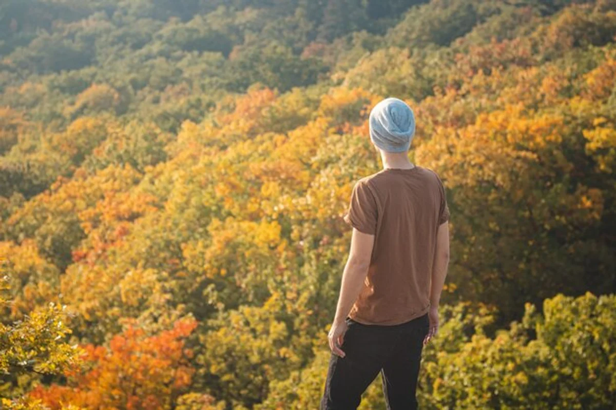 Czech forest autumn leaves golden sunrise hikers