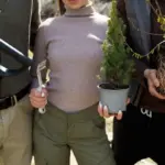 colorful autumn Czech garden maintenance healthy plants