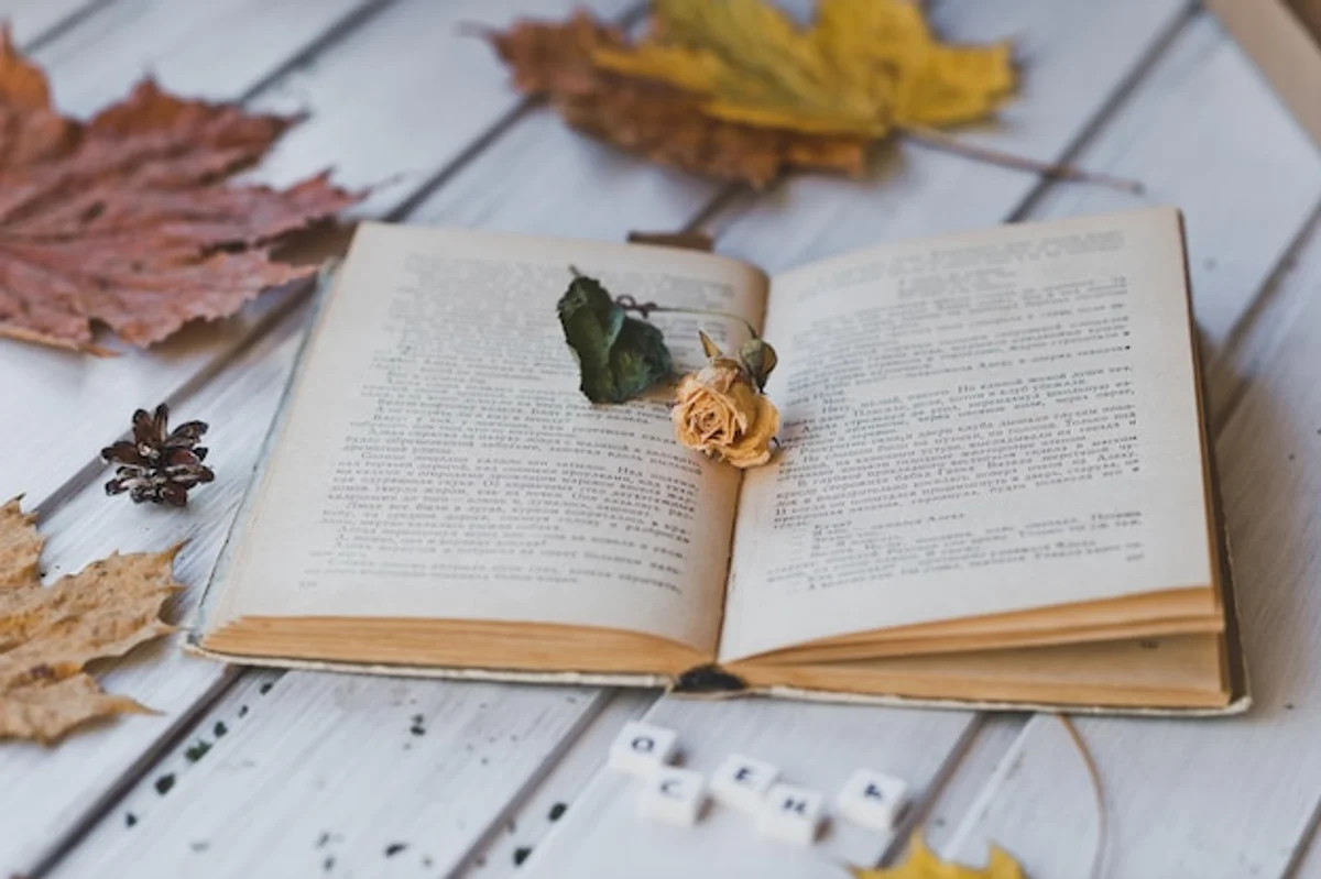 cozy autumn foreign language study home