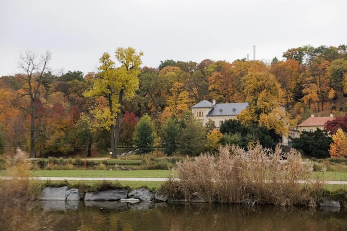 vibrant autumn landscape prague park