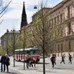 Czech art exhibitions November gallery crowd