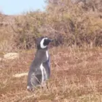 rare birds national park czechia