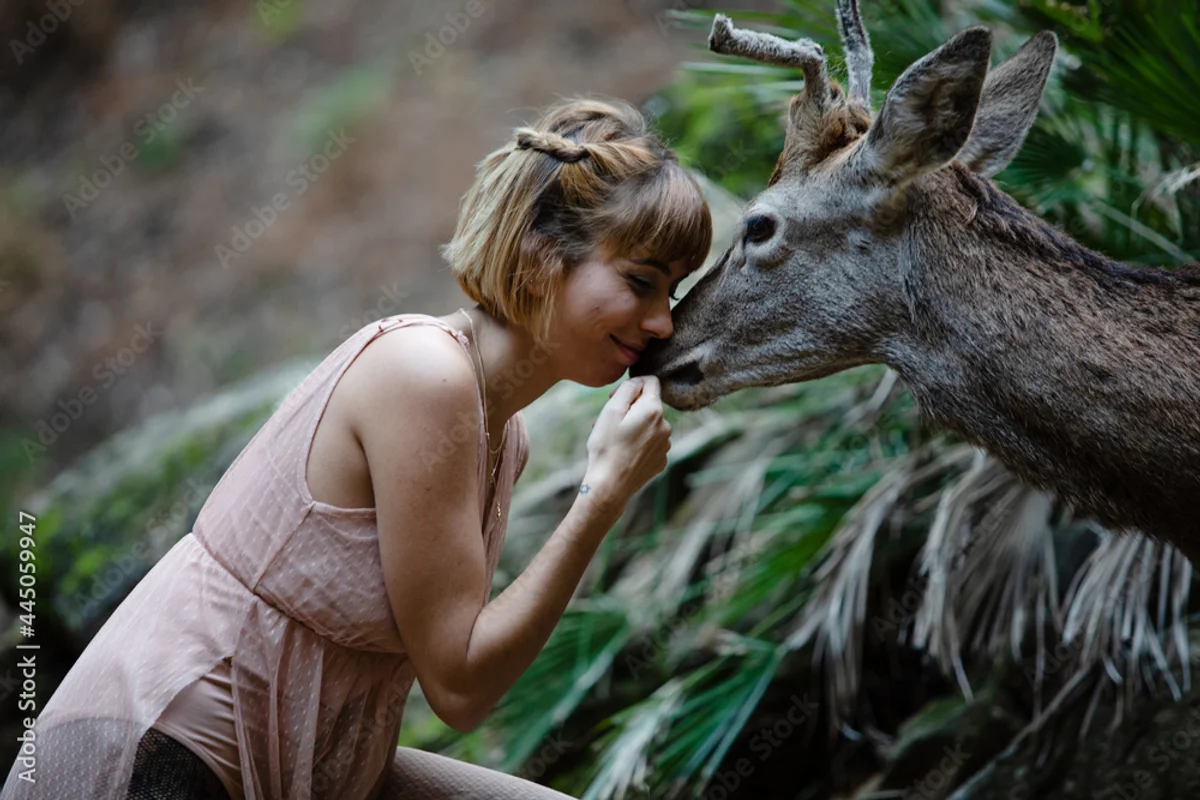 young woman using animal identification app forest Czech nature
