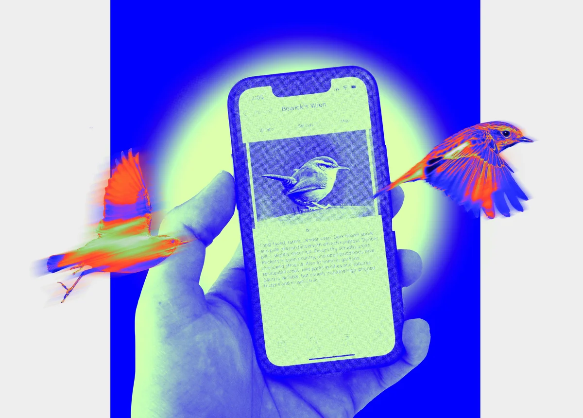Czech child using Merlin Bird ID app smartphone forest singing bird