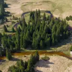 rare czech mountain butterfly
