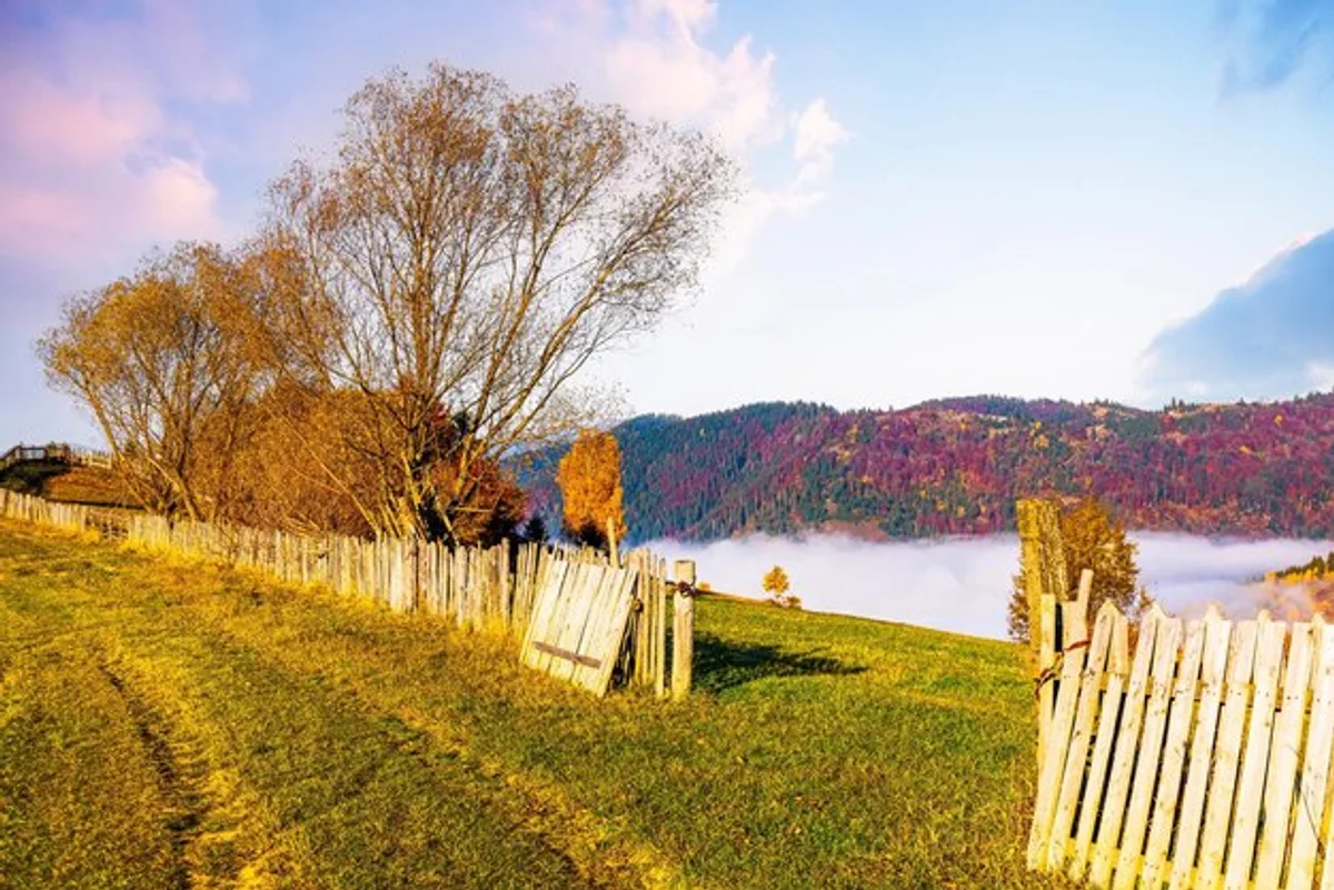 misty castle park moravia autumn path