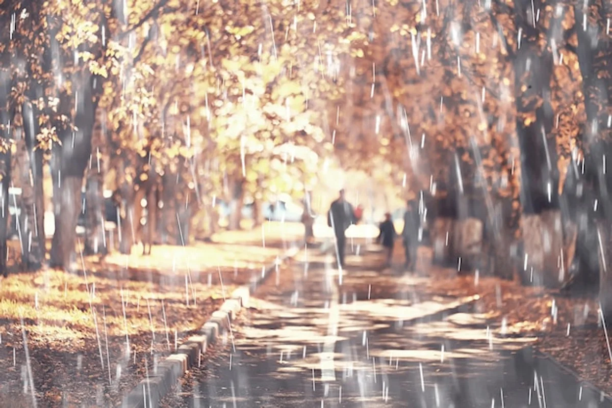 autumn rainy day city sadness