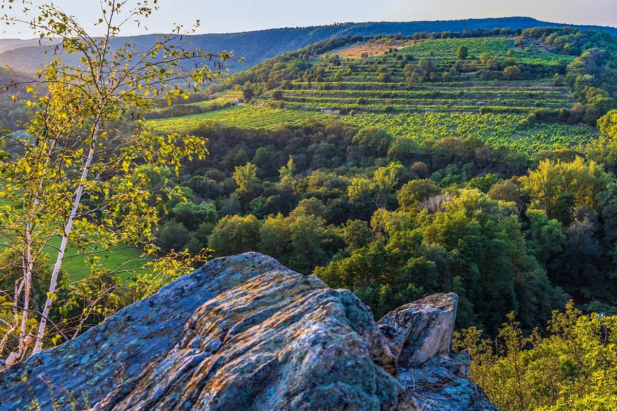 Czech Republic Podyji National Park canyon view
