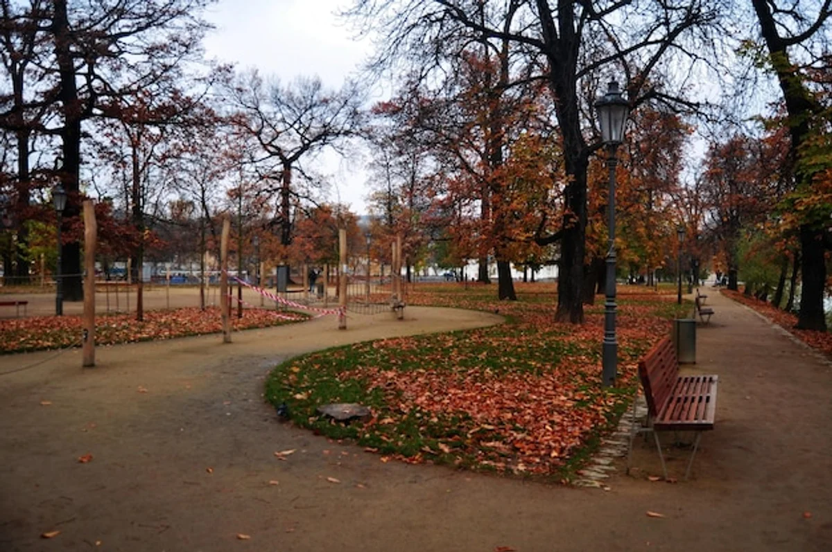 Czech people walking in autumn park, focusing or relaxing
