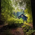 autumn wildlife shelter Czech forest