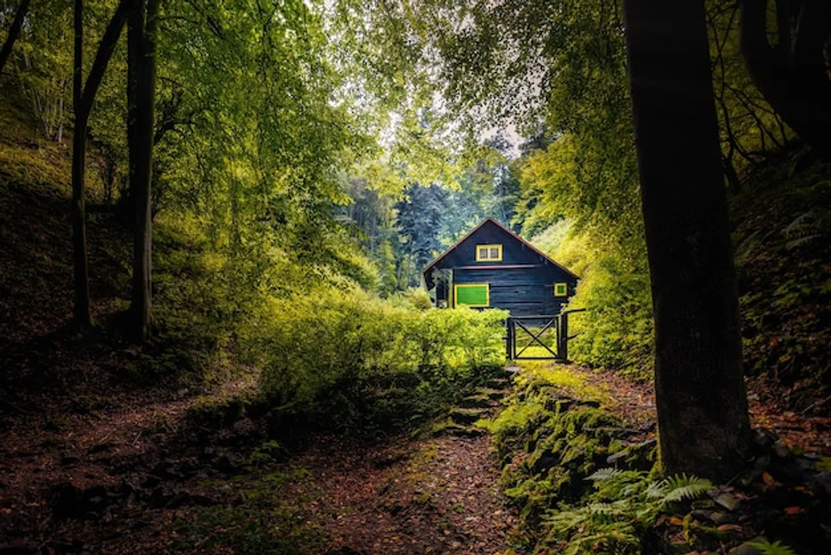 autumn wildlife shelter Czech forest