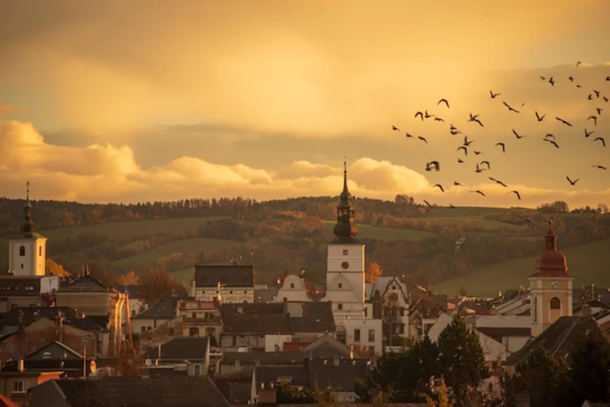 flock of birds sunrise autumn Czech countryside