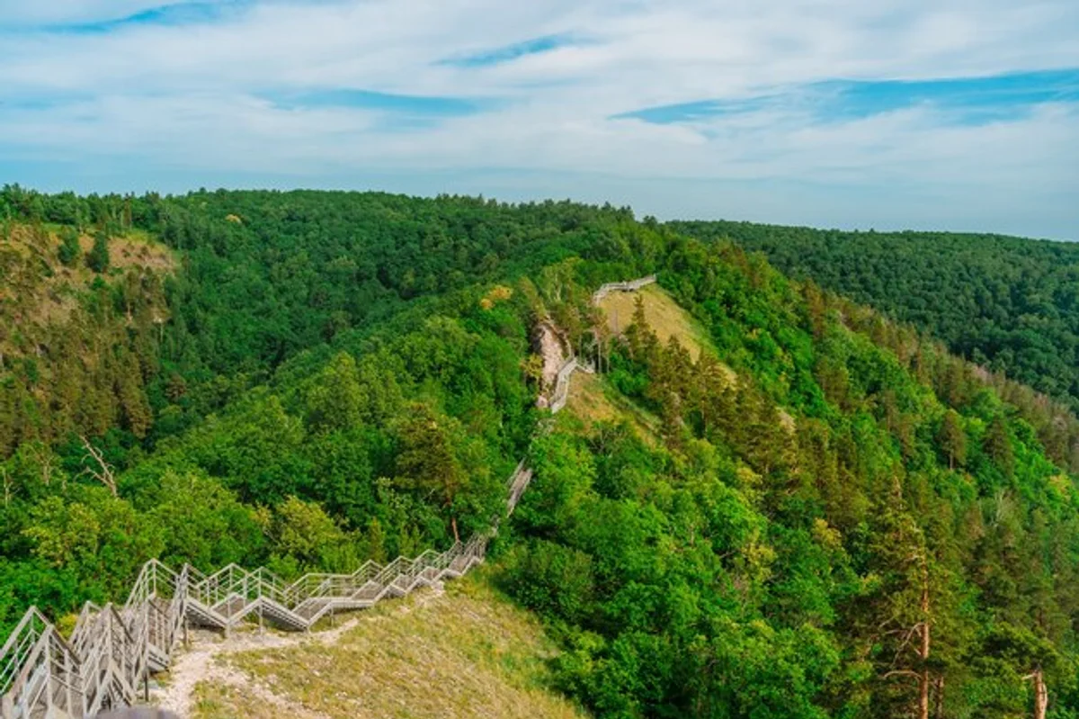 New hiking trail in Czech national park forest aerial view