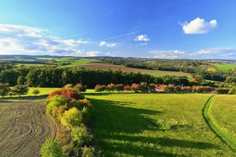 Colorful autumn Czech forest landscape