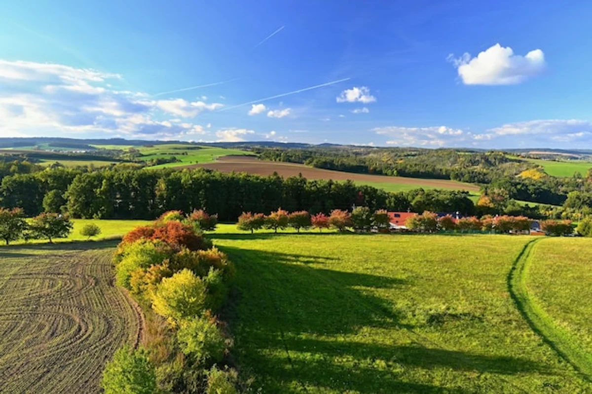Colorful autumn Czech forest landscape
