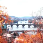 drone autumn aerial leaves Czech city park