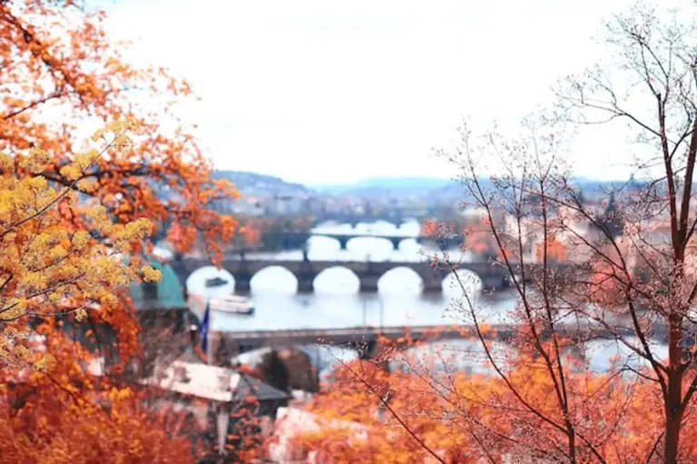 drone autumn aerial leaves Czech city park