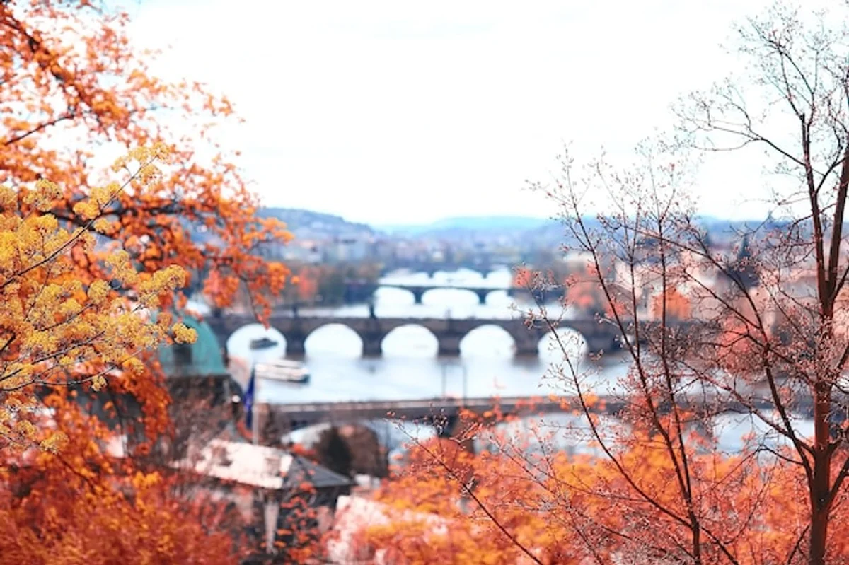 drone autumn aerial leaves Czech city park