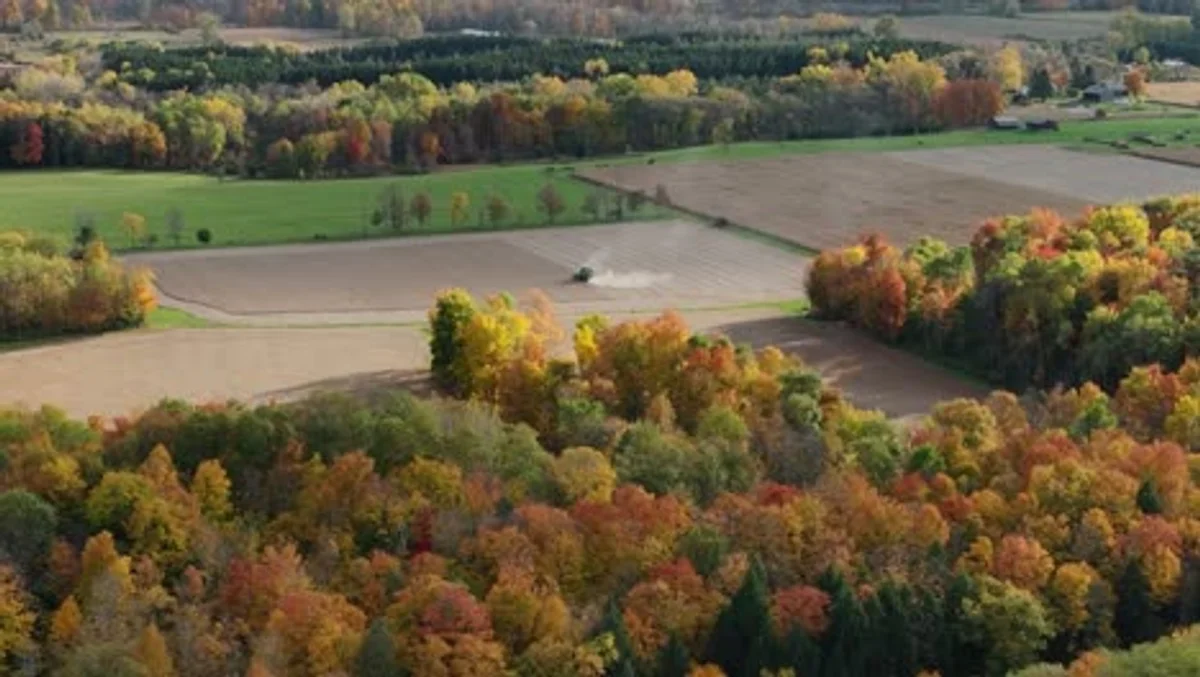 drone autumn leaves park Czechia aerial