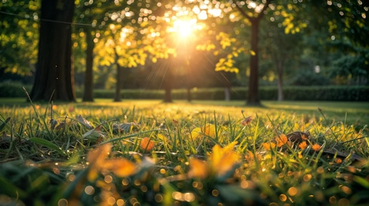 serene autumn city park morning