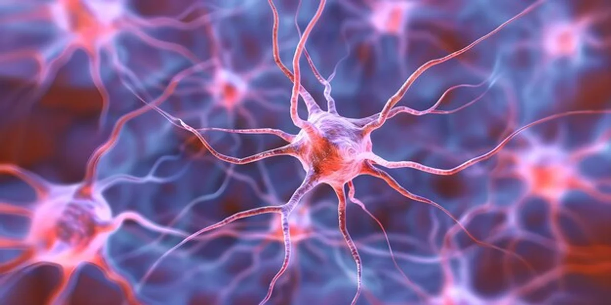brain habit neuroplasticity illustration