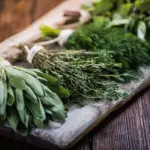fresh herbs cooking timing Czech modern kitchen