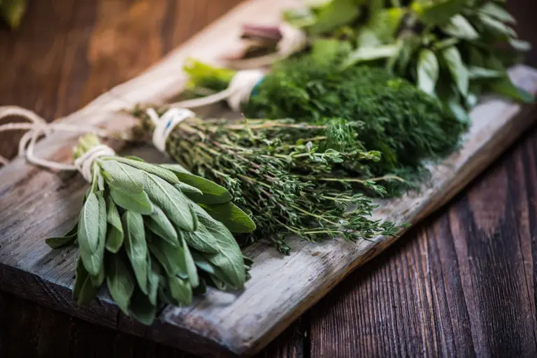 fresh herbs cooking timing Czech modern kitchen