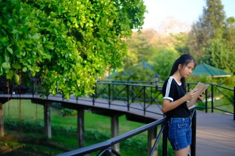czech artist sketching autumn outdoors notepad colorful leaves city park