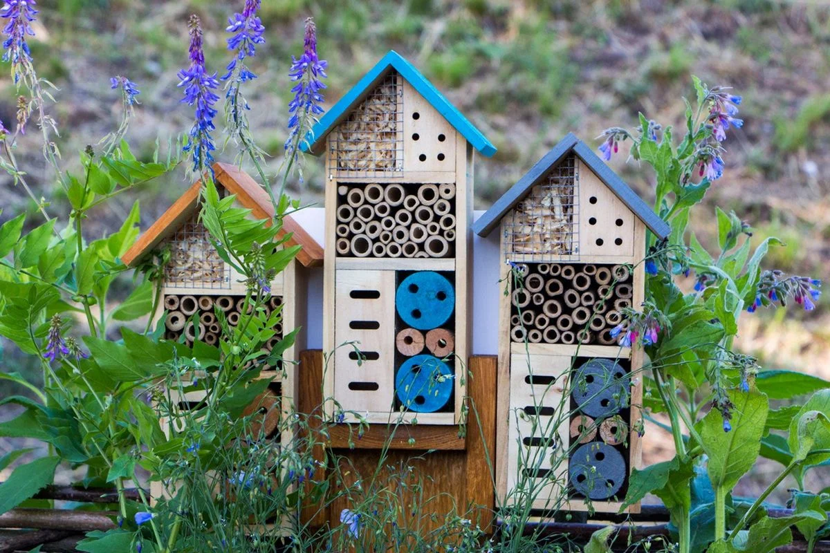 Czech garden insect hotel DIY biodiverse backyard