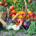 Agronom prozradil 3 největší chyby začínajících zahradníků