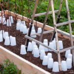 Babička to věděla: zasypte tuhle směs kolem všech rostlin před mrazem