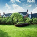 Česká agronomka: tři nejčastější chyby v domácí zahradě