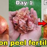 Cibulový plášť jako přirozený pesticid: jak chrání vaši úrodu