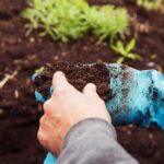 Co prozradil bývalý zahradník z Krčka o přípravě půdy na jaře