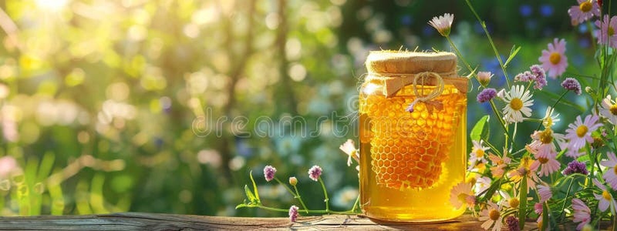 Co říkají chovatele včel o medu v zahradě během květu - image 2